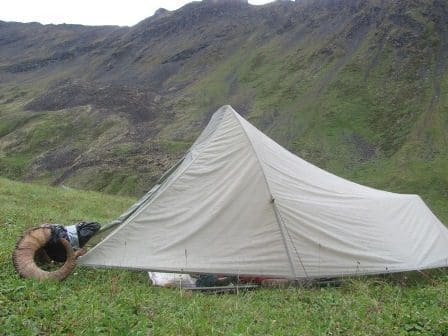 Sheep Camp