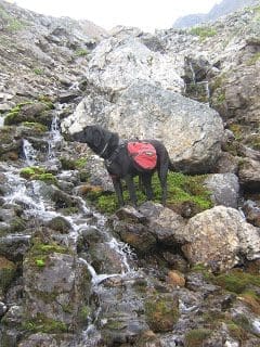 Water Break